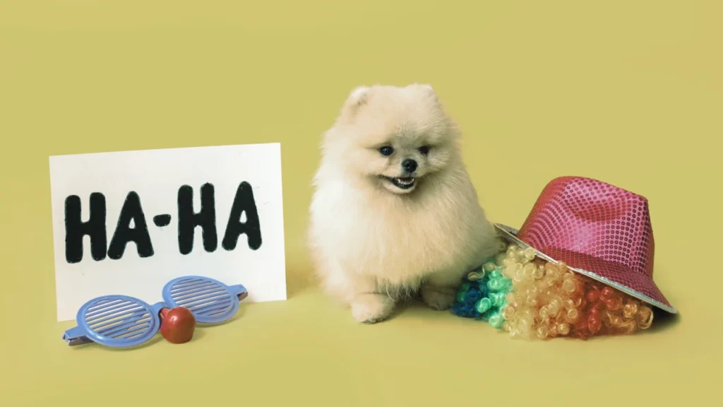 Viral-Worthy Online and Social Media April Fools' Pranks