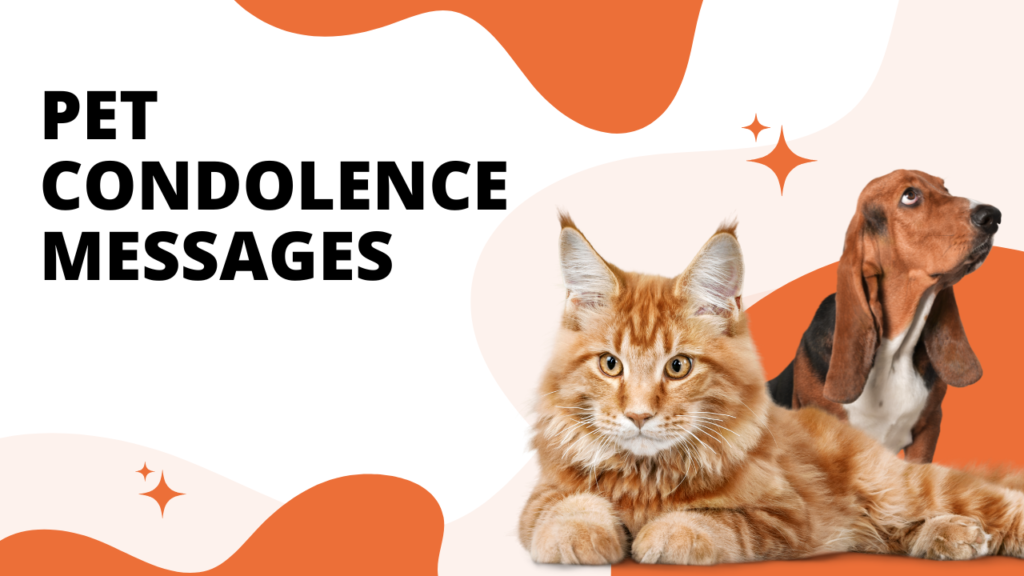 Why Losing a Pet Deserves the Same Sympathy as Any Other Loss