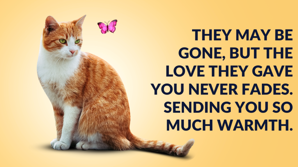 What NOT to Say When Someone Loses a Pet — And What to Say Instead