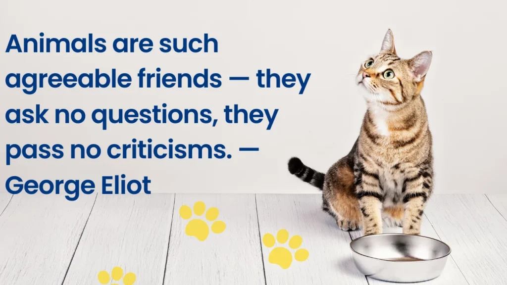 Compassionate Messages for Someone Who Recently Lost a Pet