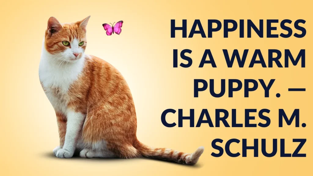 Pet Day Messages for Birds, Bunnies & Other Animal Friends