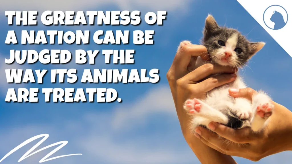 Short & Sweet Pet Day Captions for Instagram, Facebook & Social Media